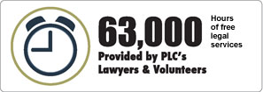 public lawyer